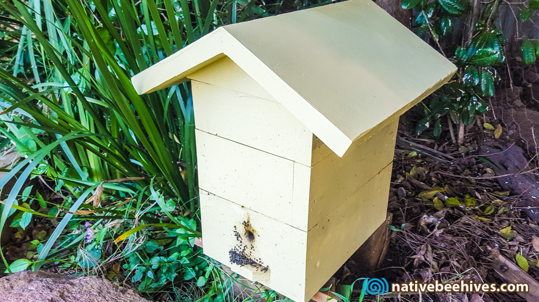 Australian Native Stingless Bee Hive – Native Bee Hives