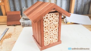 nbh beehotel red3